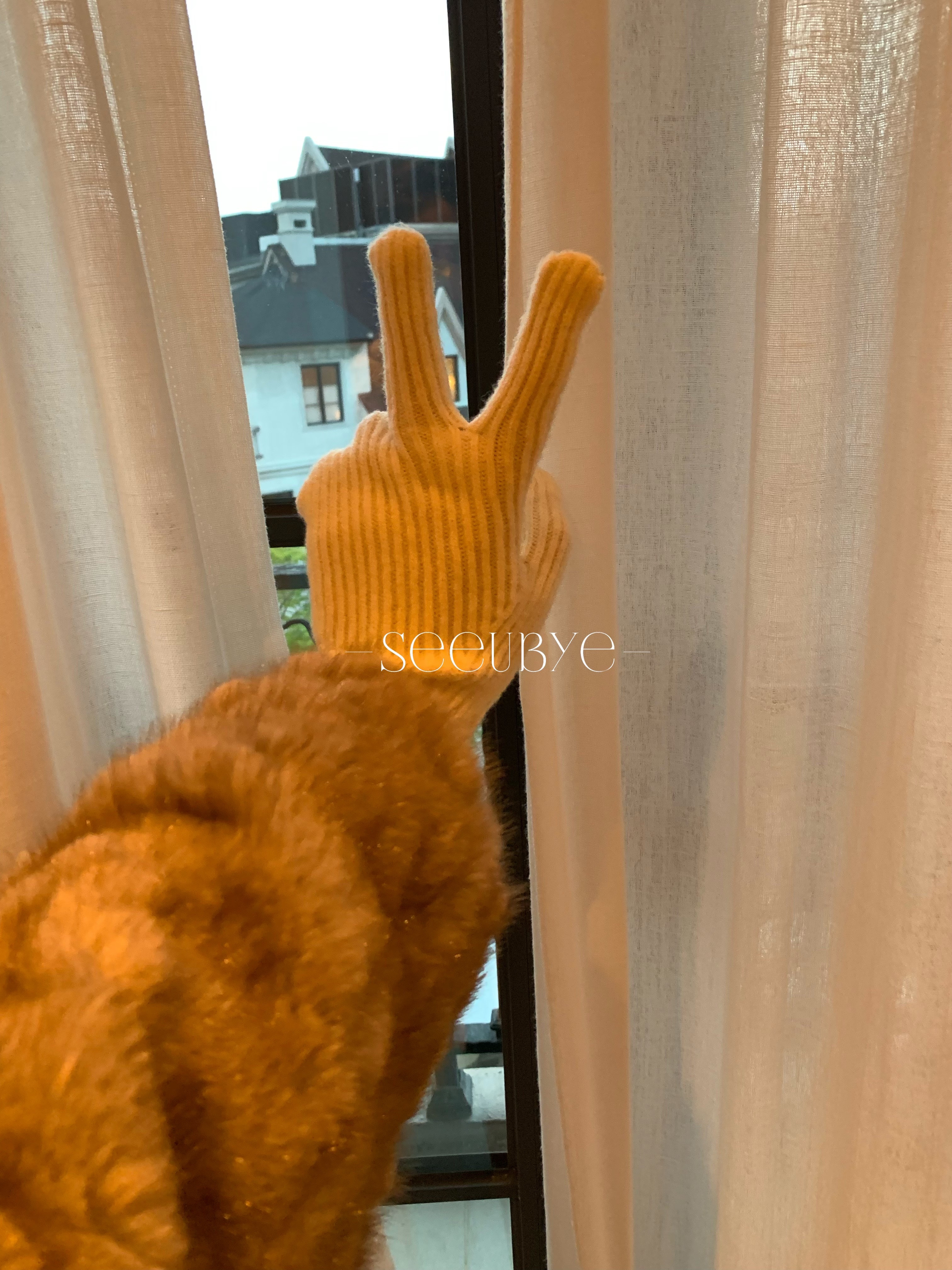 可觸屏針織手套7