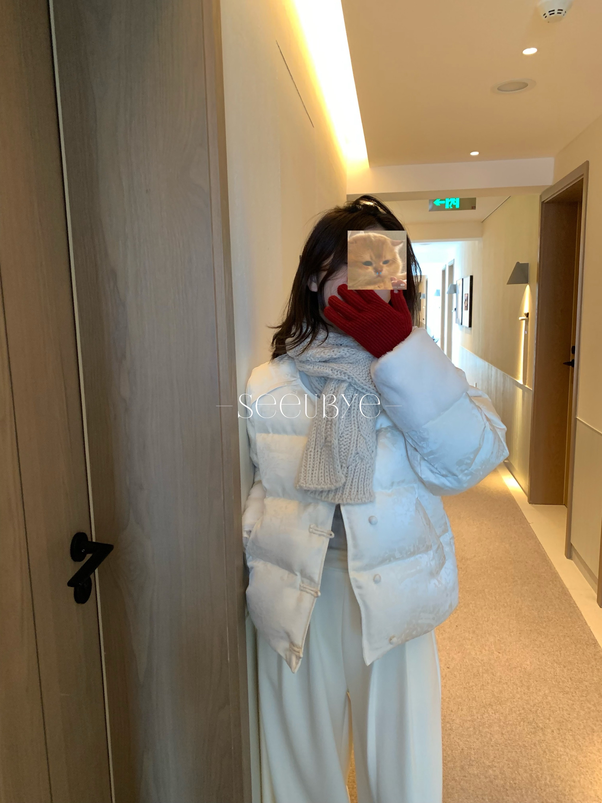 新中式清冷羽絨外套4