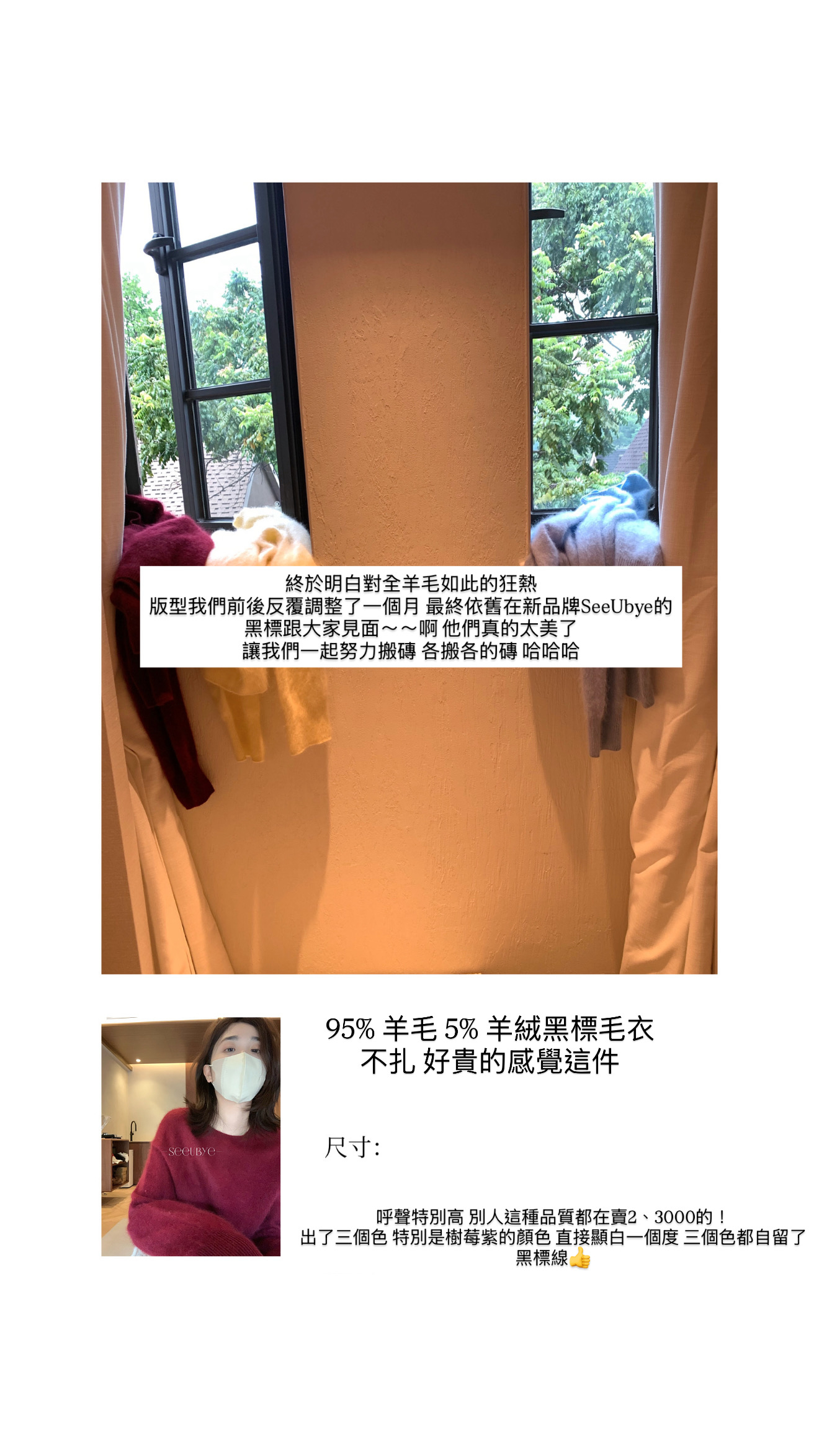 黑標線/全羊毛高品質毛衣3