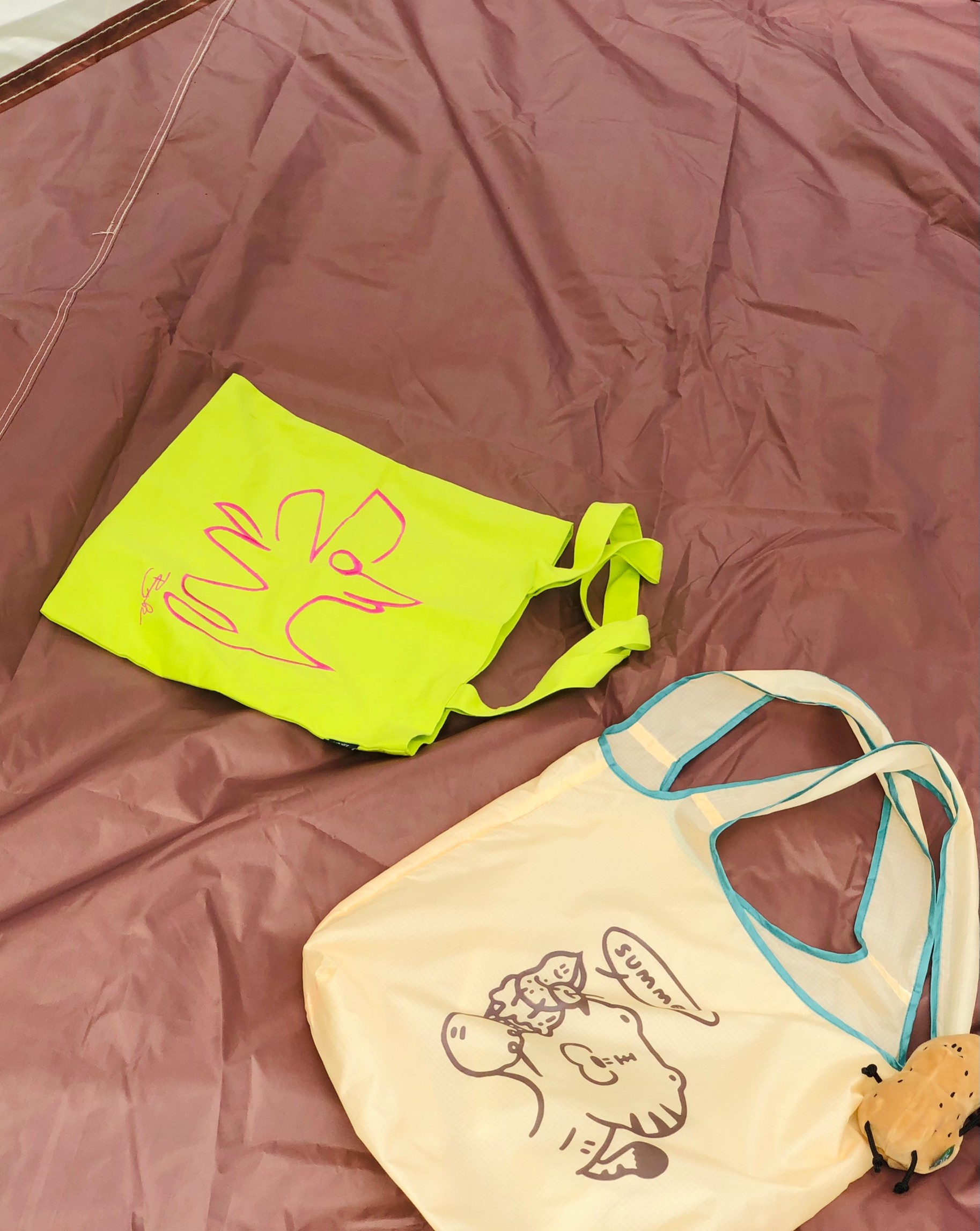 陽光外的任性小狗4