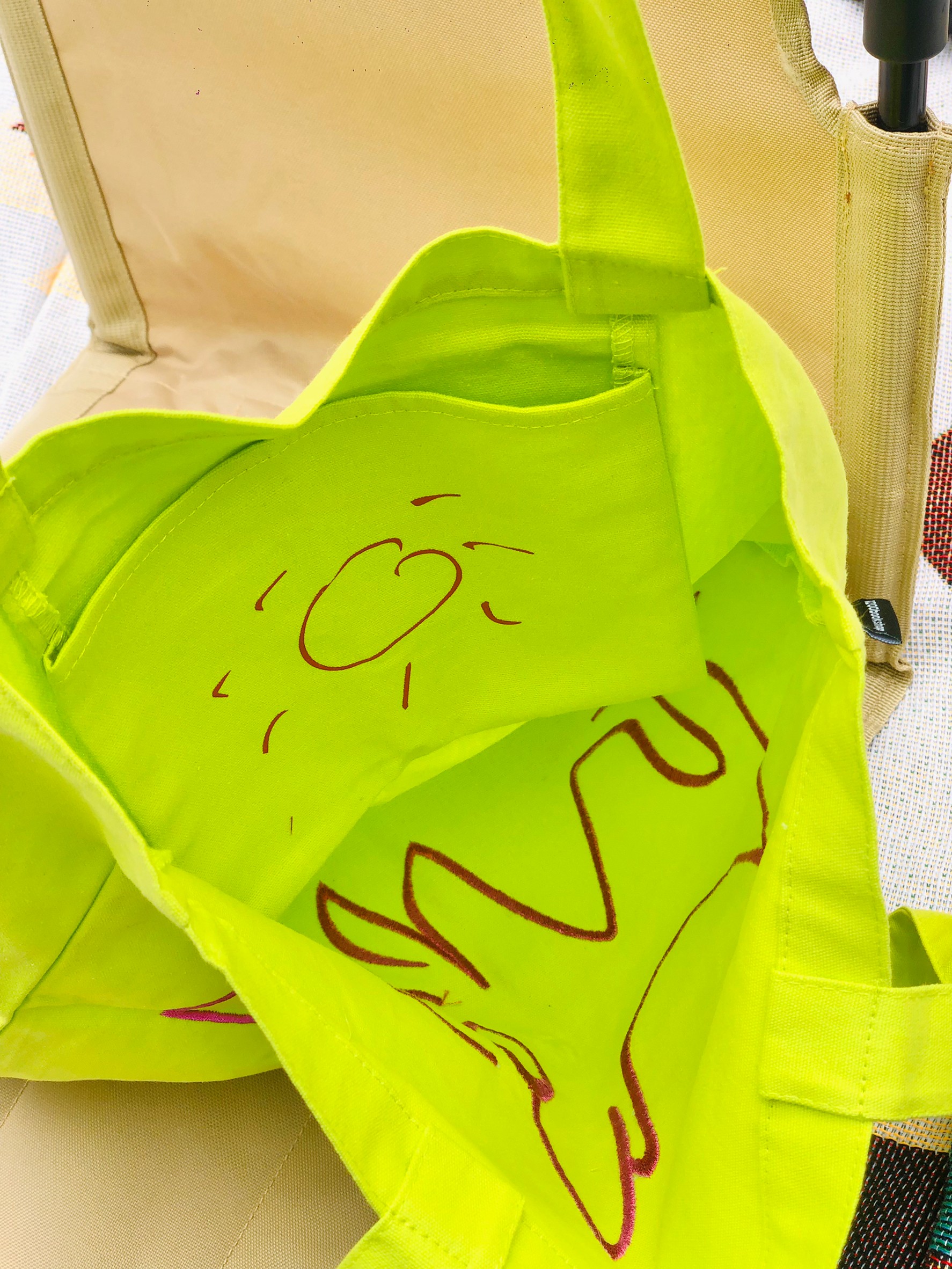 陽光外的任性小狗2