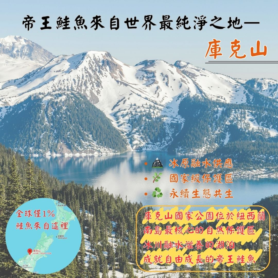 【五朝港水產】紐西蘭庫克山帝王鮭魚菲力 | 鮭魚4