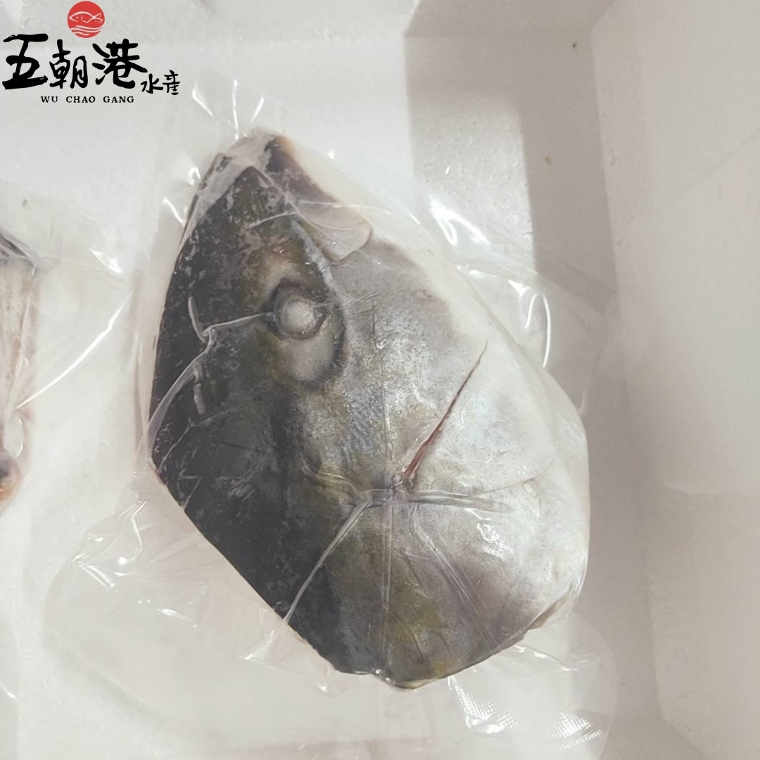 【五朝港水產】日本鹿耳島青甘魚頭丁(450g±10% /包)4