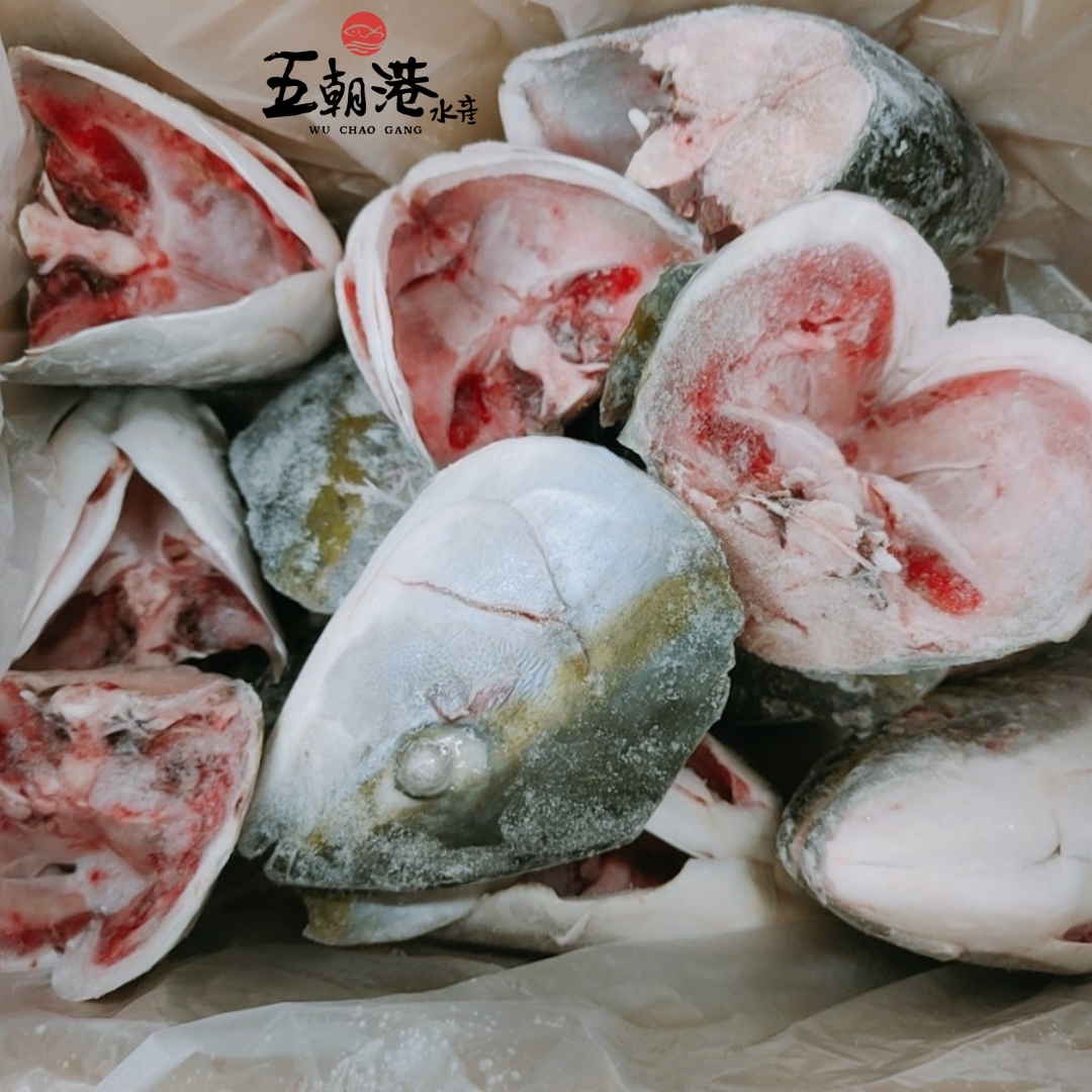 【五朝港水產】日本鹿耳島青甘魚頭丁(450g±10% /包)3