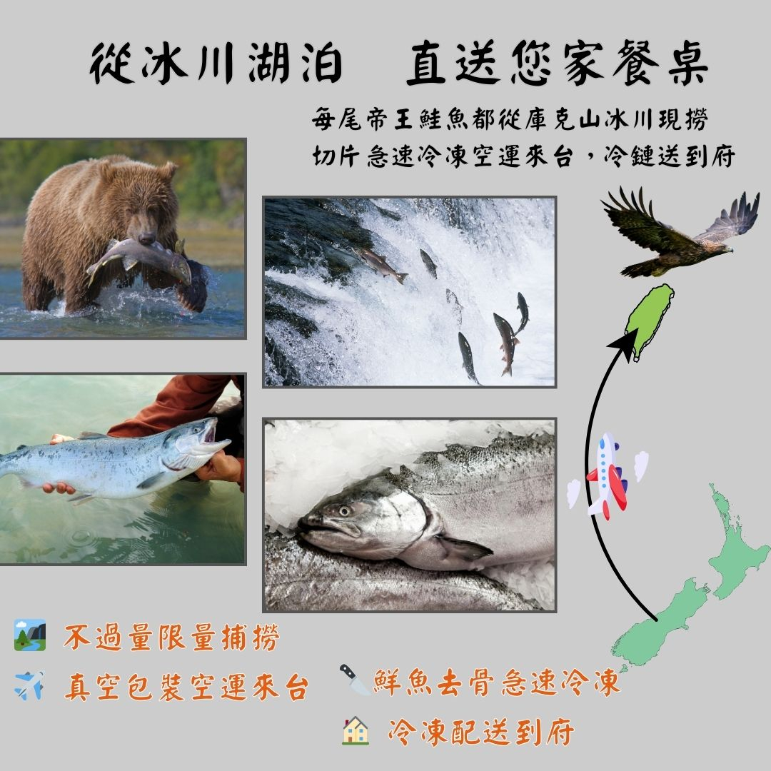 【五朝港水產】紐西蘭庫克山帝王鮭魚菲力 | 鮭魚5