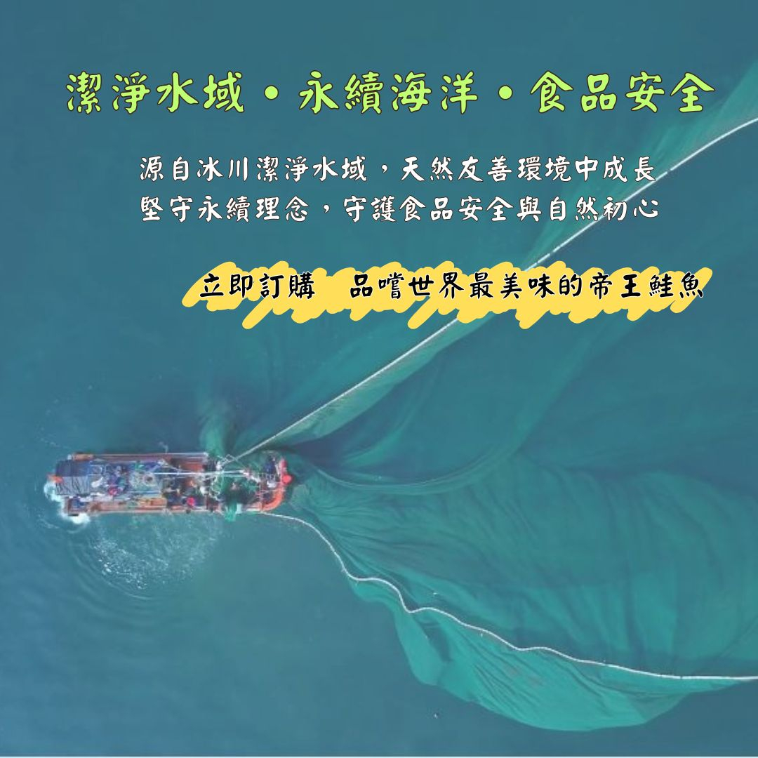 【五朝港水產】紐西蘭庫克山帝王鮭魚菲力 | 鮭魚7