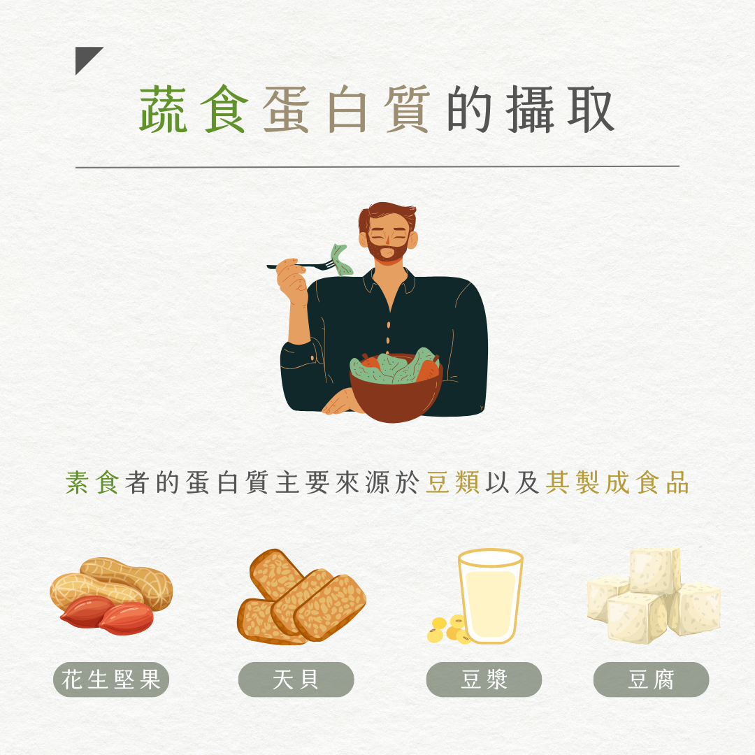蔬食蛋白質攝取-1.png