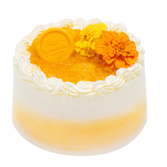 Japanese Mikan 日本日向夏蜜柑 Whole Chiffon Cake 原個戚風大蛋糕 La Famille Japanese Mikan 日本日向夏蜜柑 Whole Chiffon Cake 原個戚風大蛋糕 La Famille