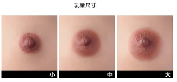 乳暈尺寸