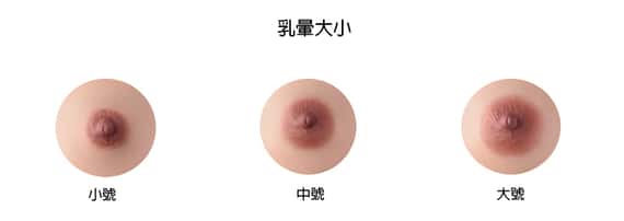 乳暈大小