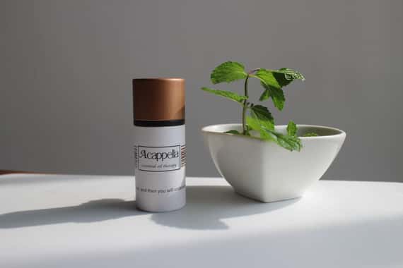 【熱門商品】塞維亞薰衣草精油 Lavender, Seville 