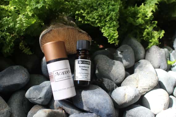 膠冷杉精油 Fir, Balsam