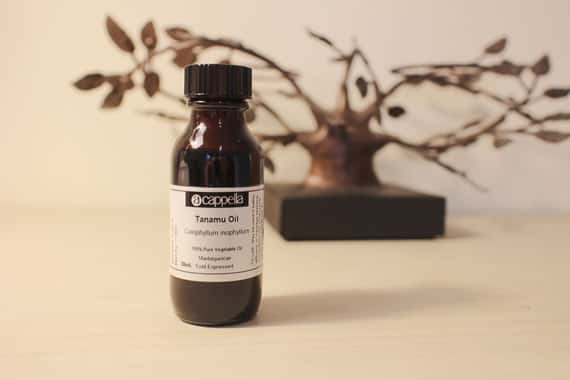 【植物油】瓊崖海棠油（有機） Tamanu Oil