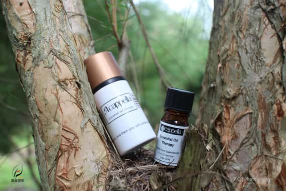 野馬鬱蘭精油(有機)  Oregano (ORG)