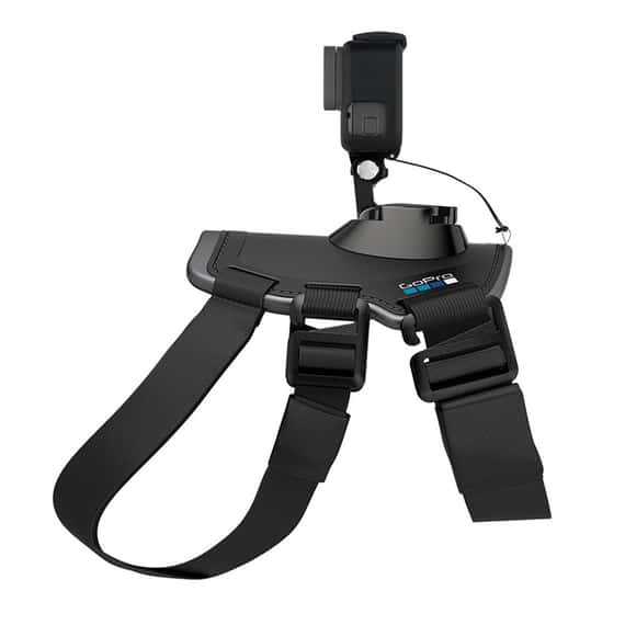 GoPro 寵物專用綁帶