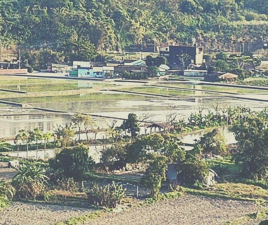 EP2 #回到大溪家鄉