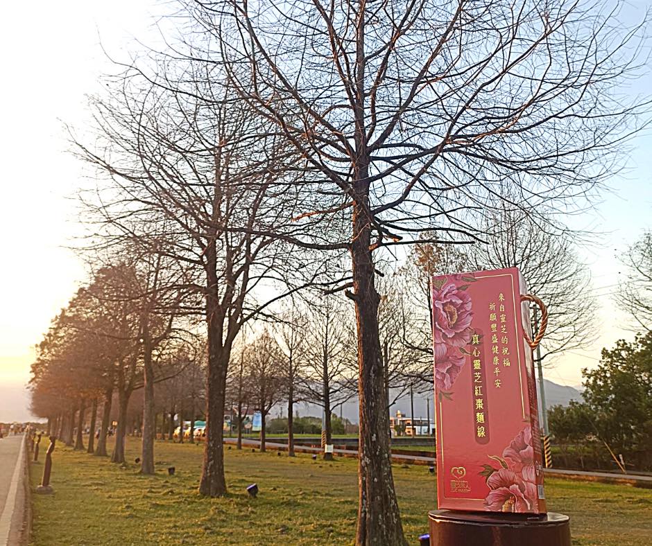 EP1 宜蘭三星落羽松秘境