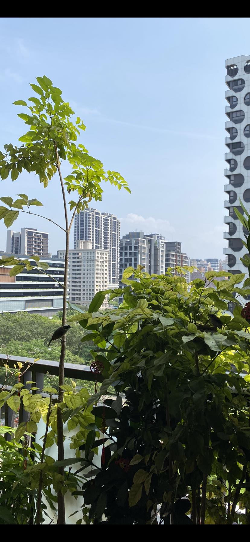 EP5 人類母親的一課