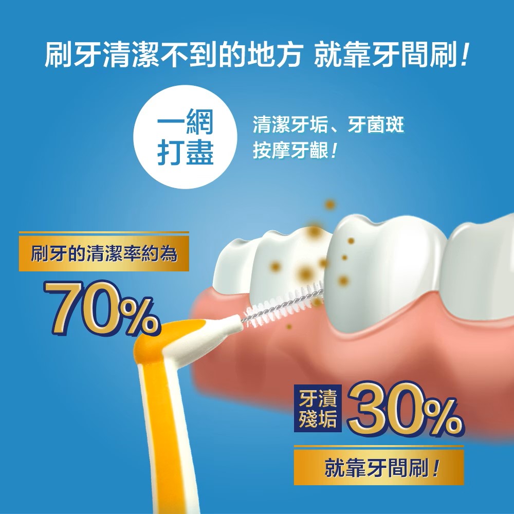 牙間刷小知識