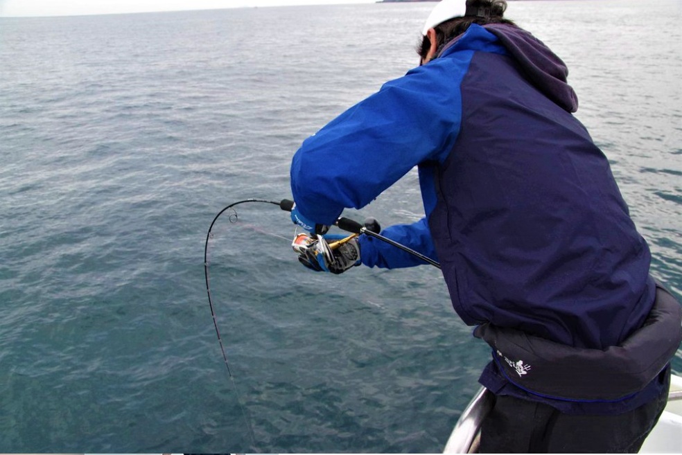 日本 ZENAQ 最新 實心竿 IKARI /鼓式竿/紡車竿9