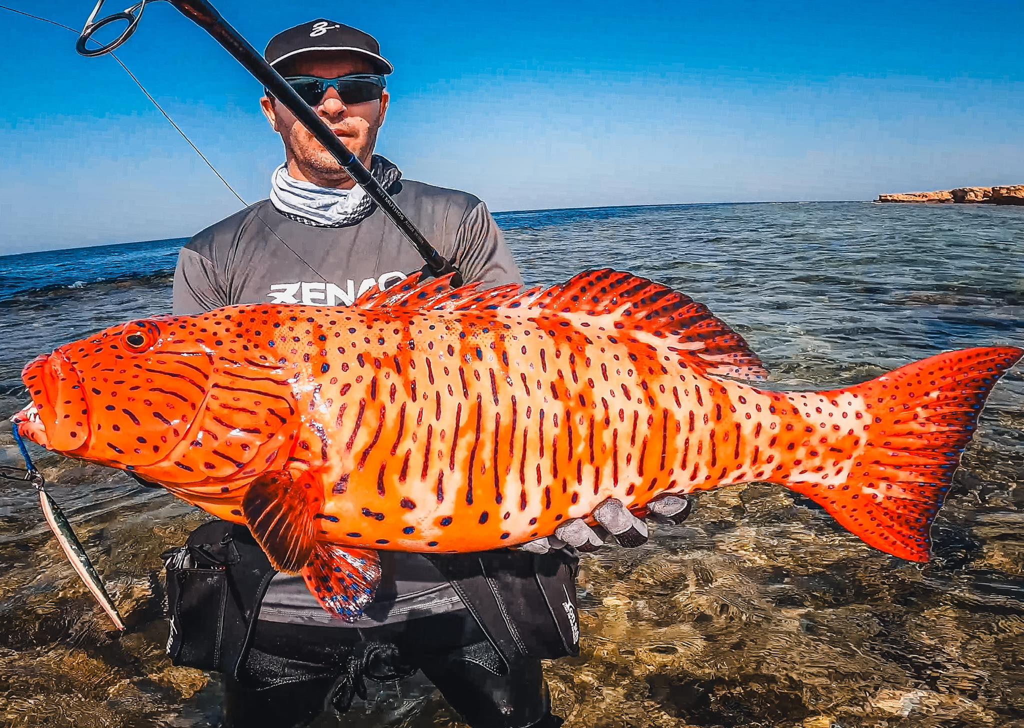 日本 ZENAQ 最新 實心竿 IKARI /鼓式竿/紡車竿20