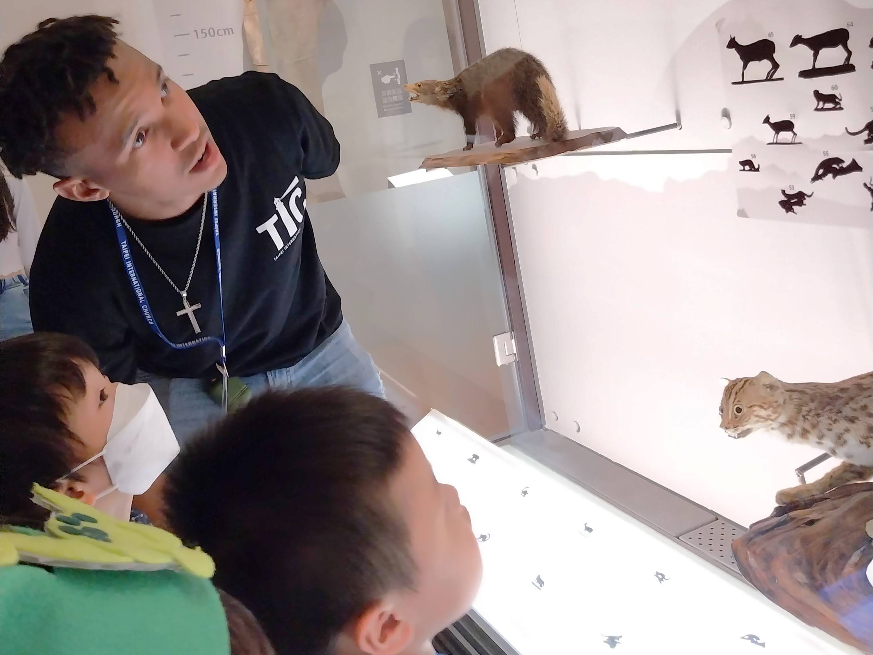 3-10歲【恐龍博物館】尋找消失的恐龍4