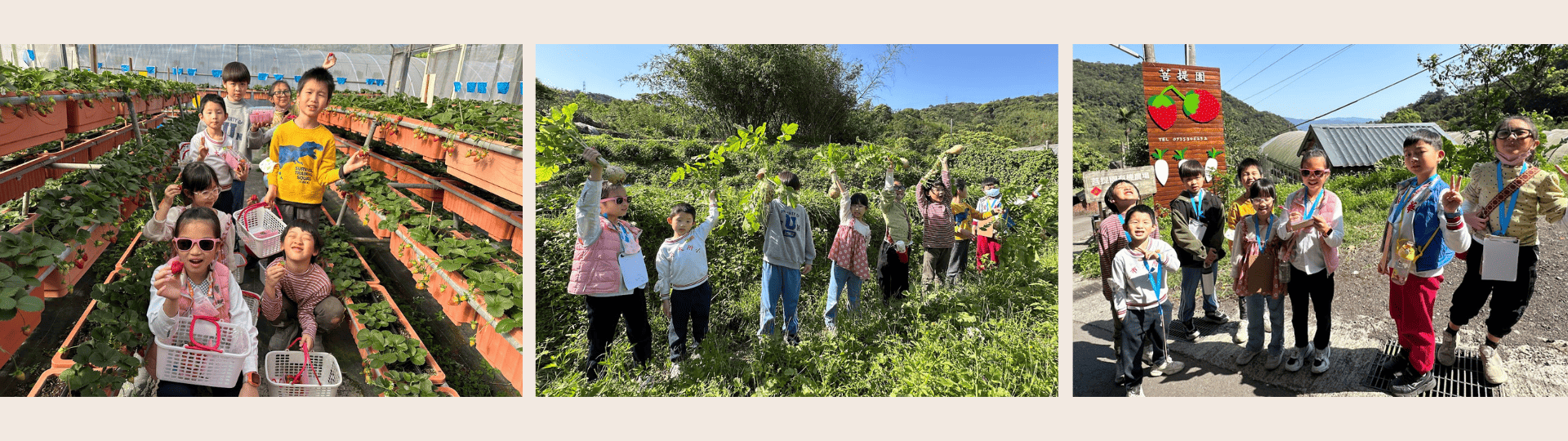 草莓農場 (1).png