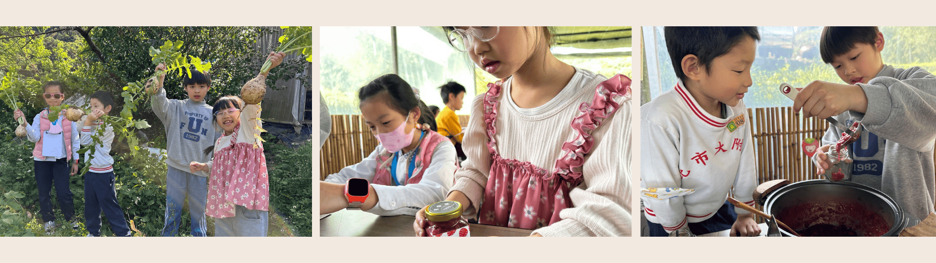 草莓農場 (2).png