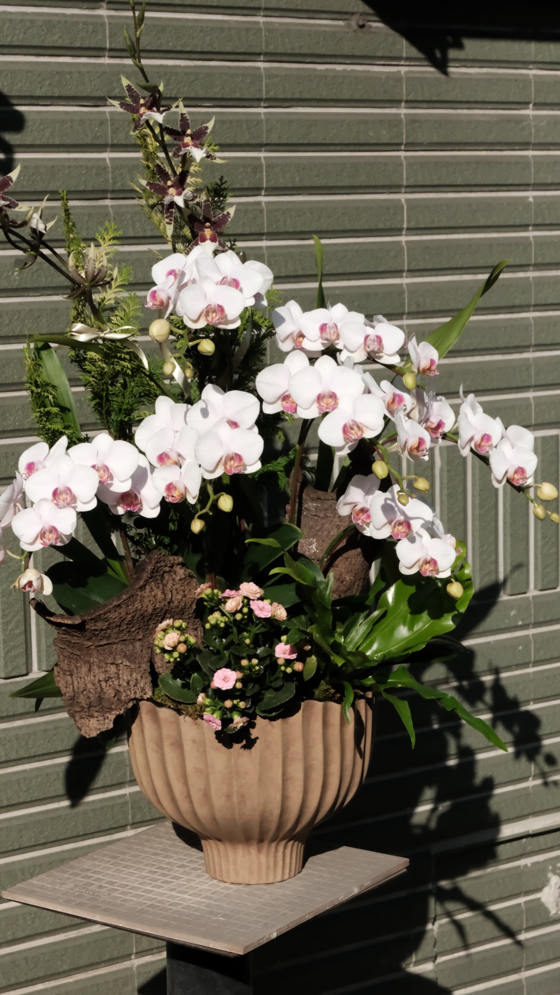 大型蘭花花禮-淡粉白色系4