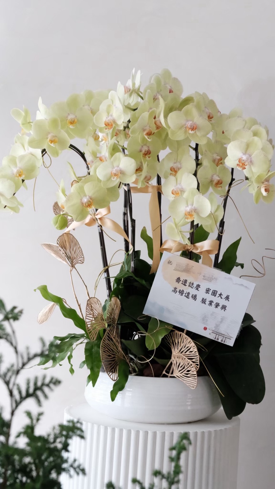 大型蘭花花禮-黃色1