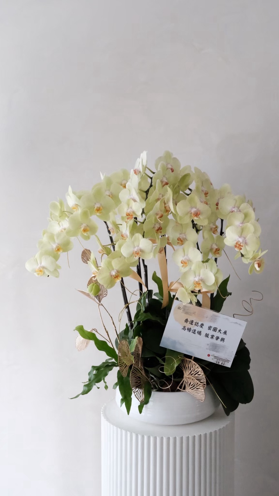大型蘭花花禮-黃色5