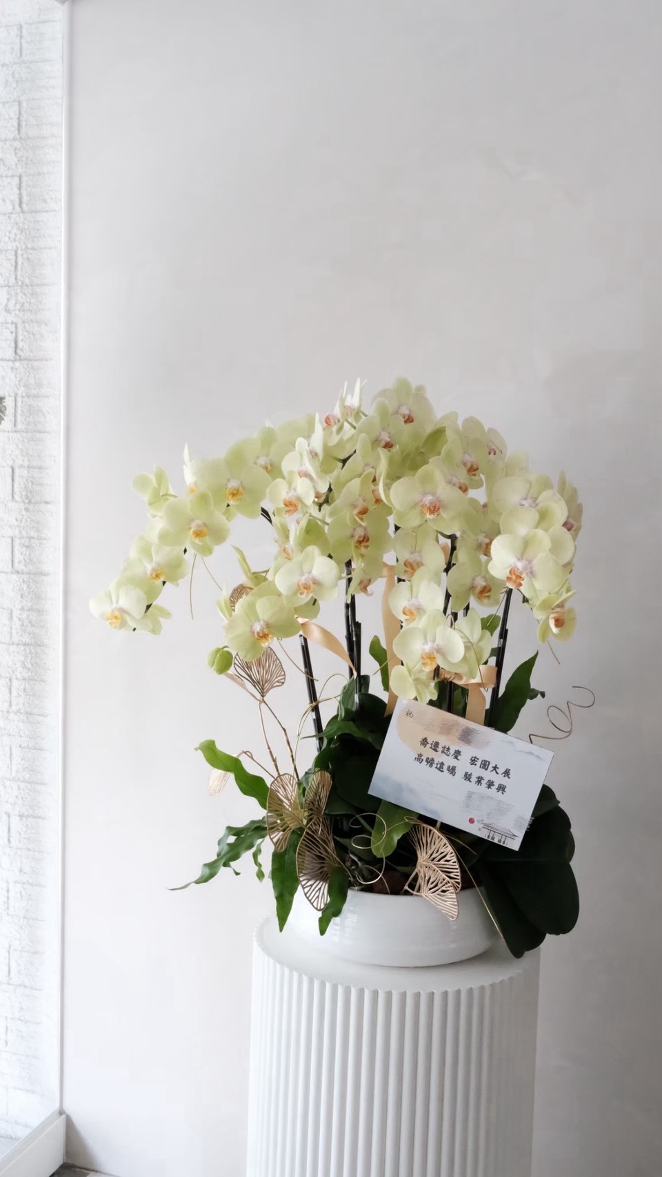 大型蘭花花禮-黃色2