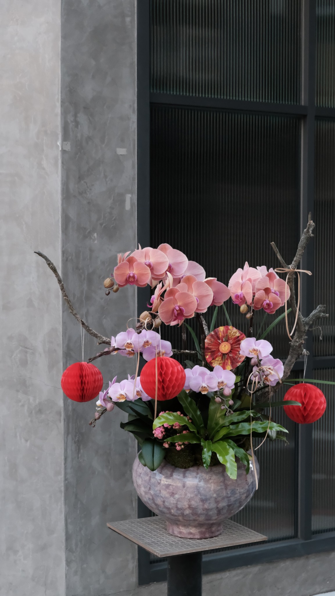 大型蘭花花禮-粉紫色系3