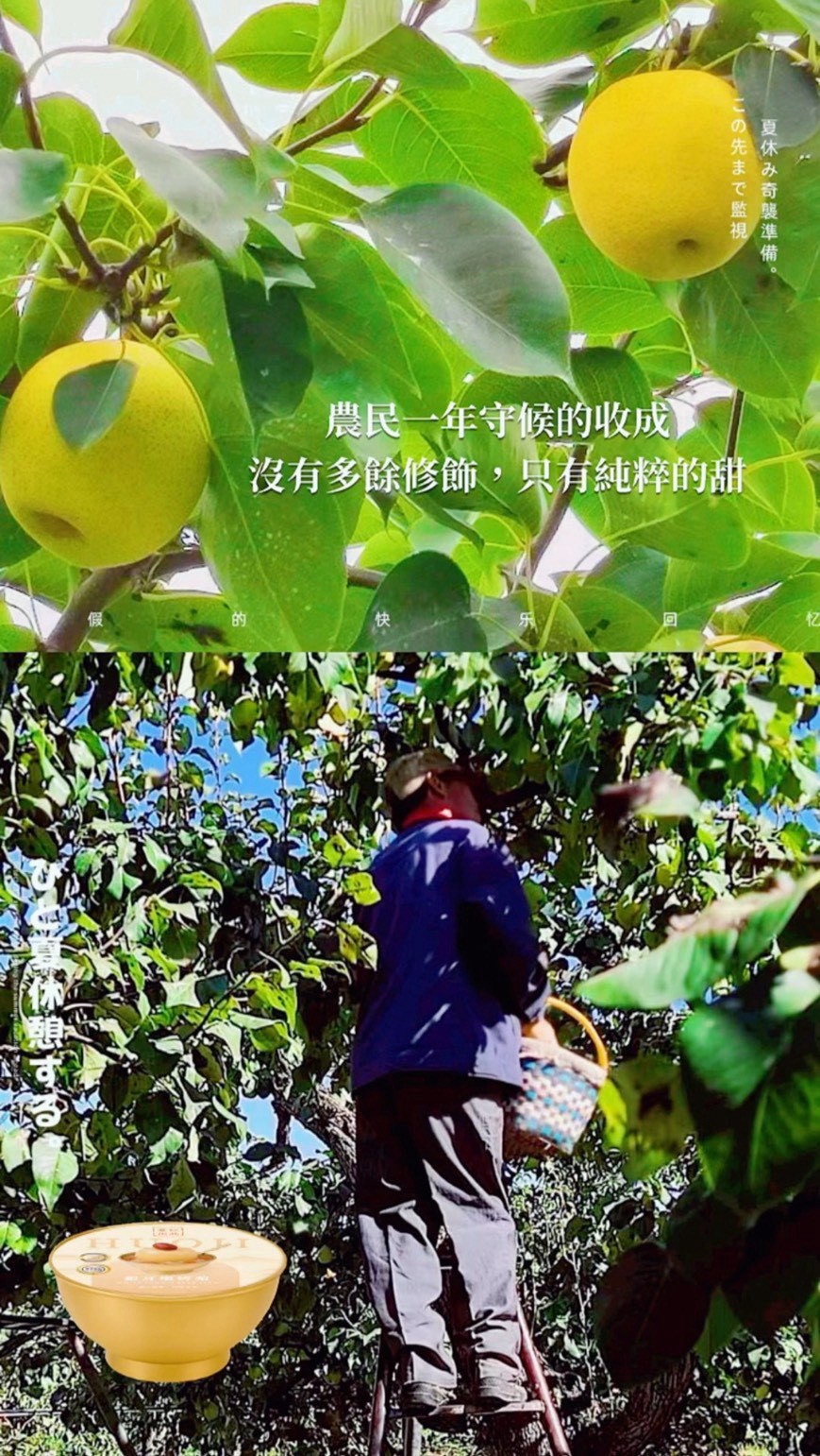 全新升級🍐銀耳燉烤梨 2.0減糖版 【免運】7