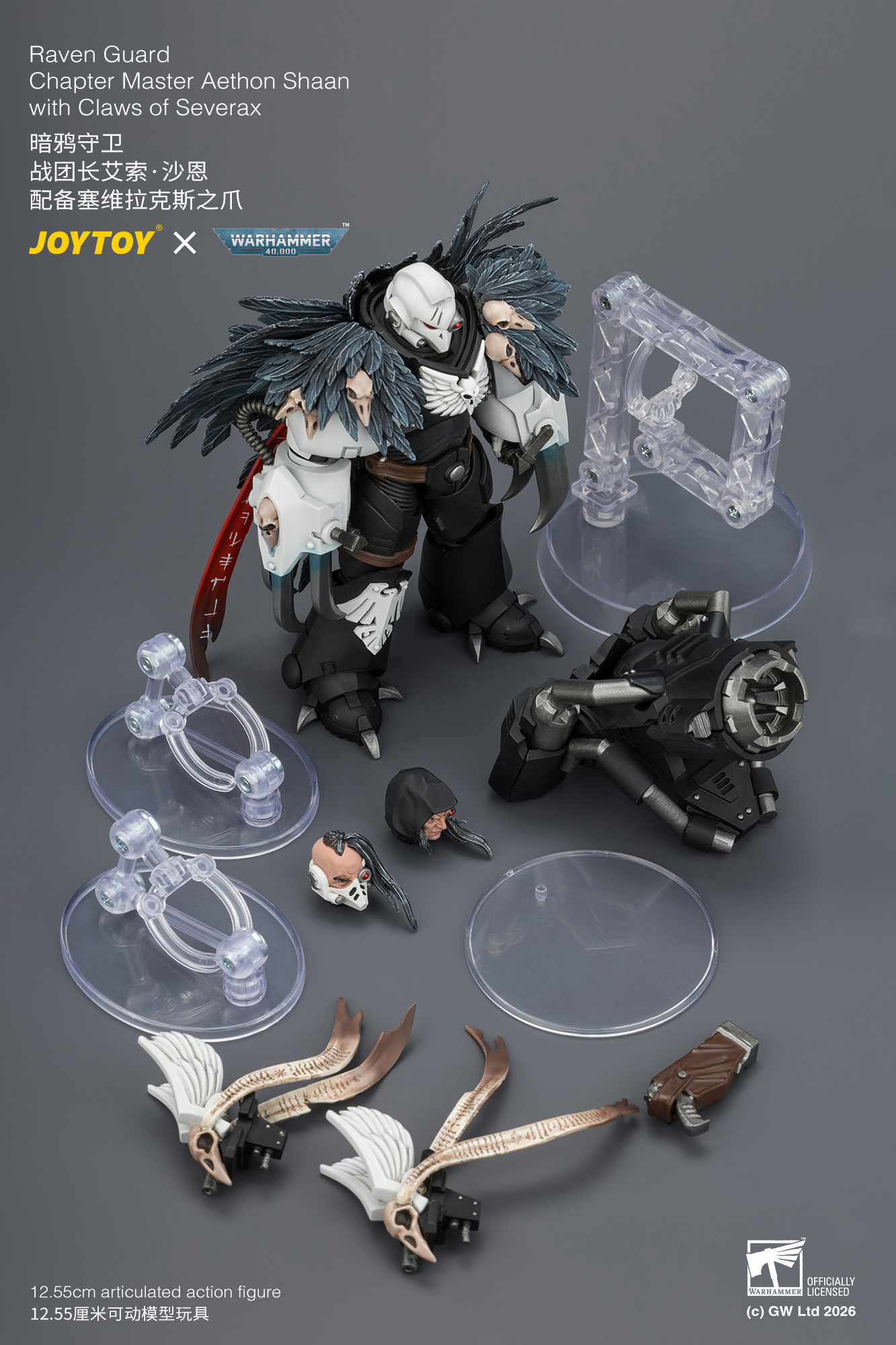 【預購】暗鴉守衛 戰團長艾索·沙恩 JT04742 X JOYTOY12