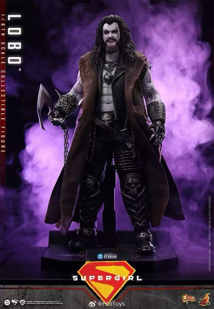【預購】DC《超級少女》暴狼羅伯 MMS890 X HOTTOYS(HT)7