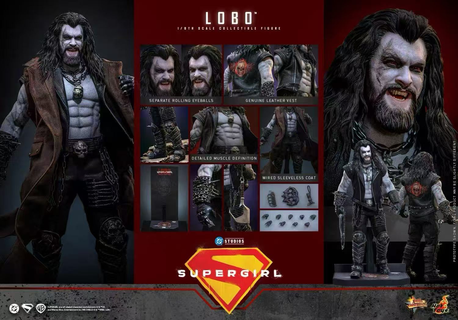 【預購】DC《超級少女》暴狼羅伯 MMS890 X HOTTOYS(HT)2