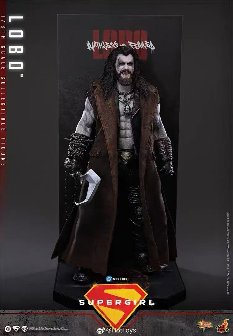 【預購】DC《超級少女》暴狼羅伯 MMS890 X HOTTOYS(HT)8