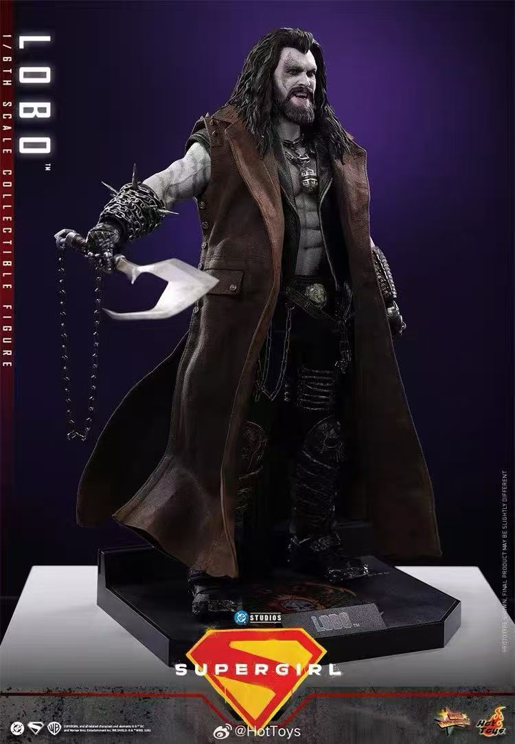 【預購】DC《超級少女》暴狼羅伯 MMS890 X HOTTOYS(HT)9