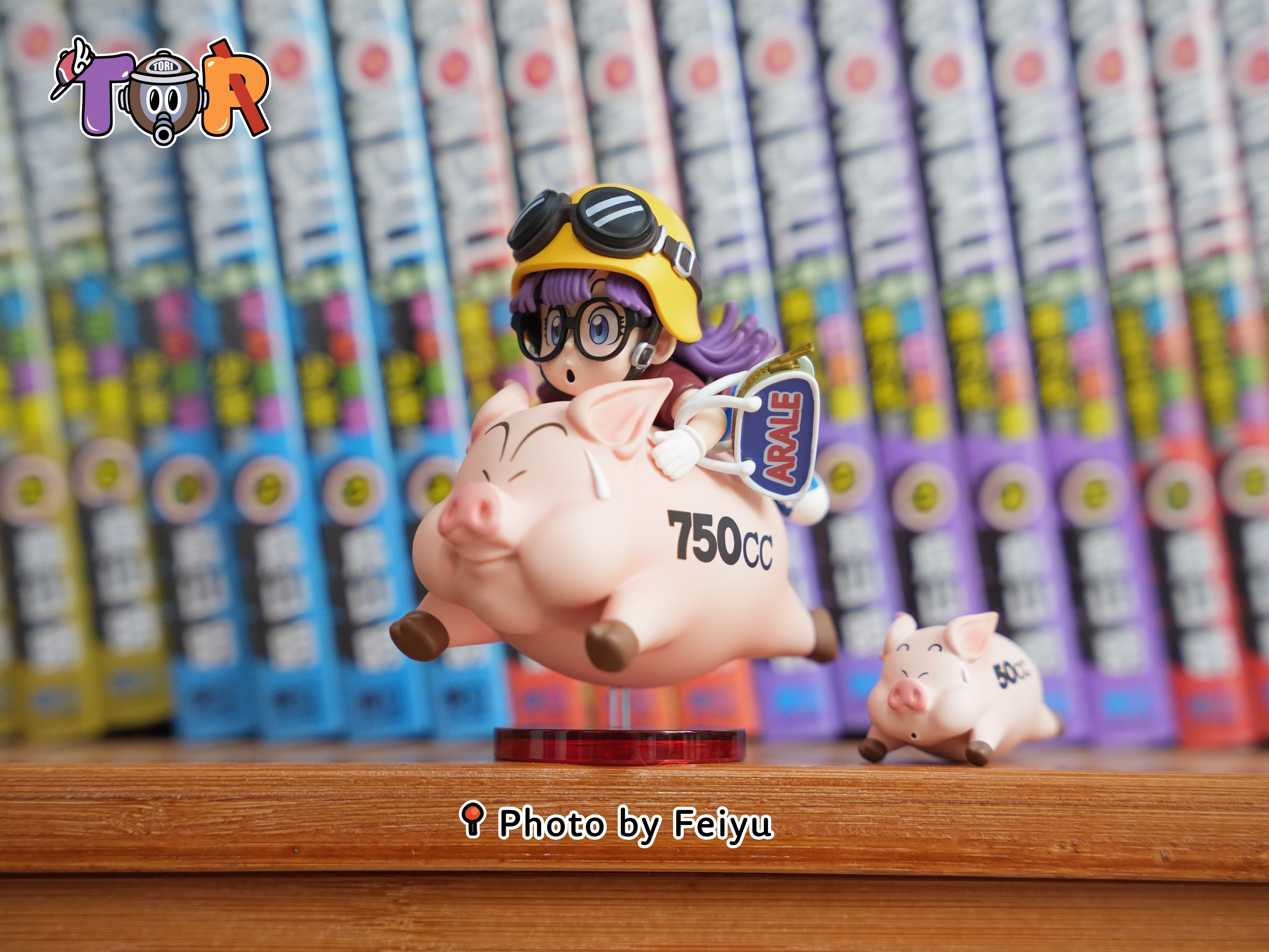 【售罄展示追加請私訊客服@toystationtw】怪博士與機器娃娃 阿拉蕾系列015 騎豬阿拉蕾 X TOR-Studio7