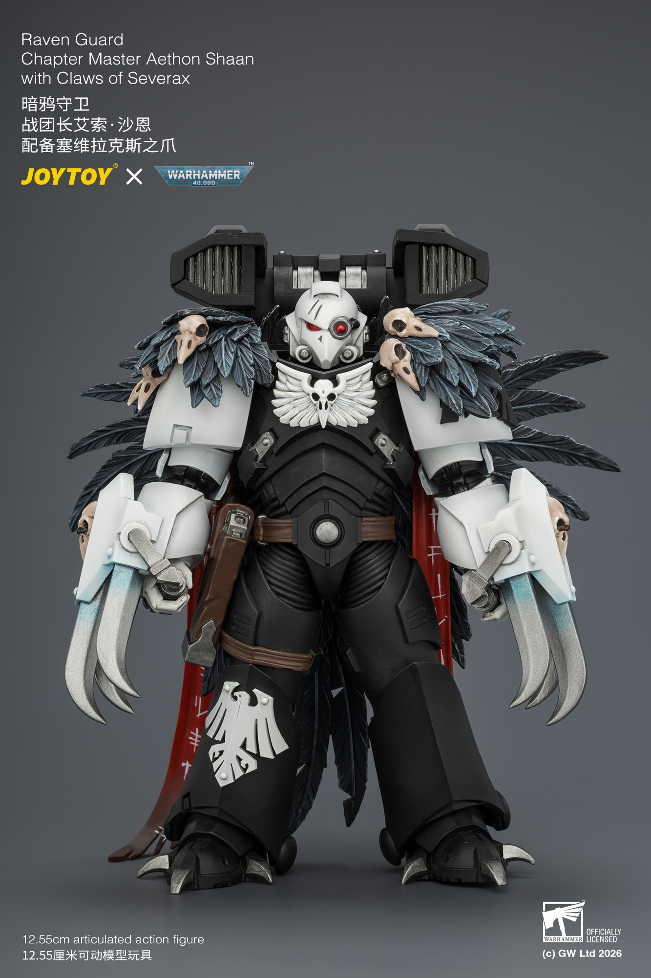 【預購】暗鴉守衛 戰團長艾索·沙恩 JT04742 X JOYTOY2