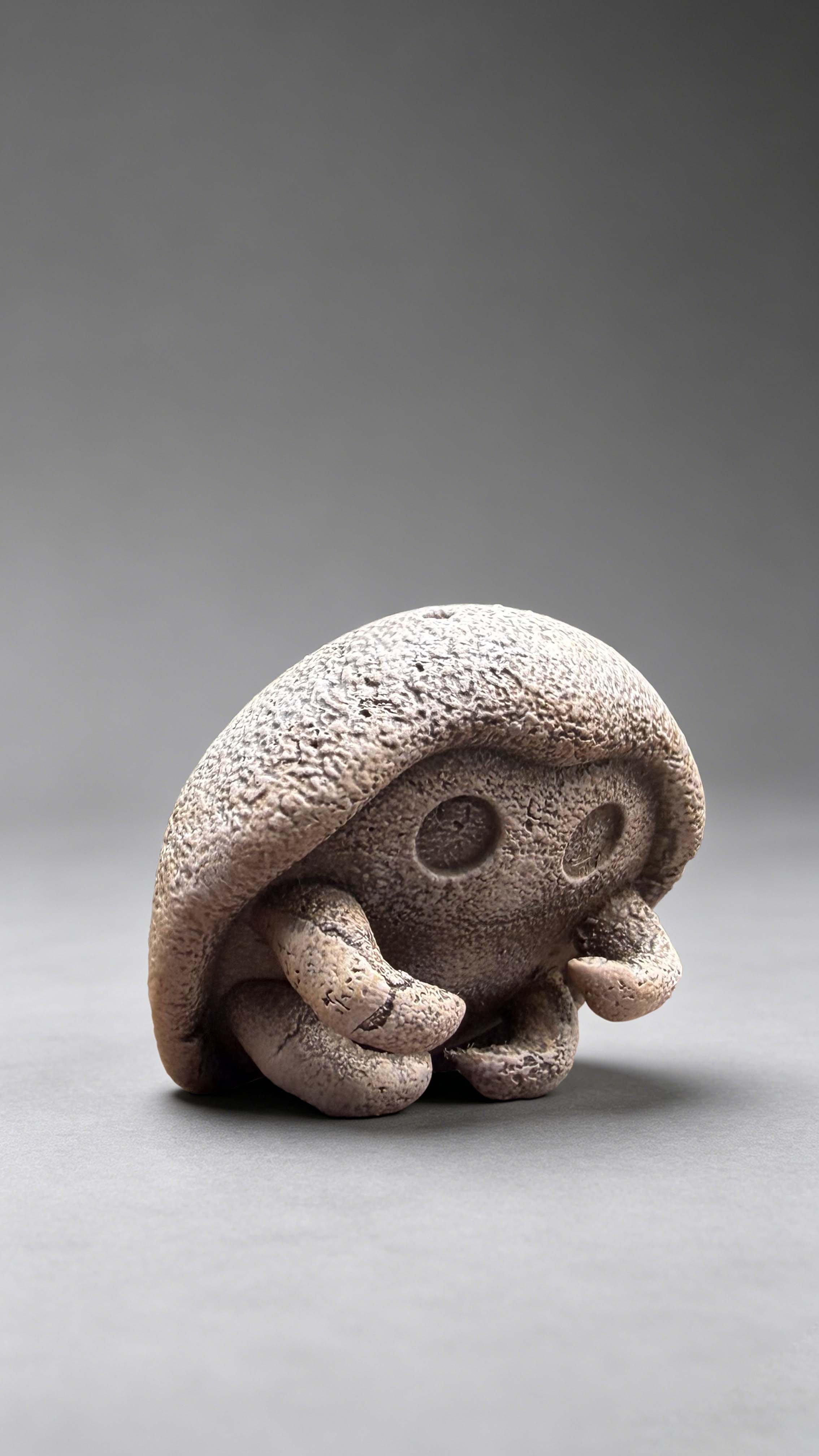 【預購】皮卡化石博物館系列第一彈 化石盔&鐮刀盔 X miumiu夢幻5