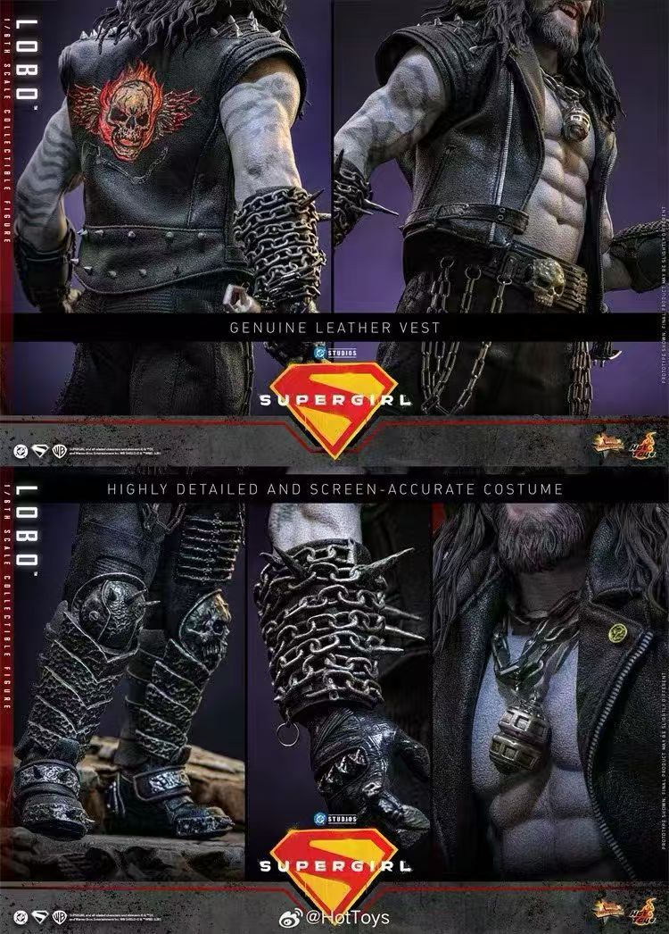 【預購】DC《超級少女》暴狼羅伯 MMS890 X HOTTOYS(HT)10