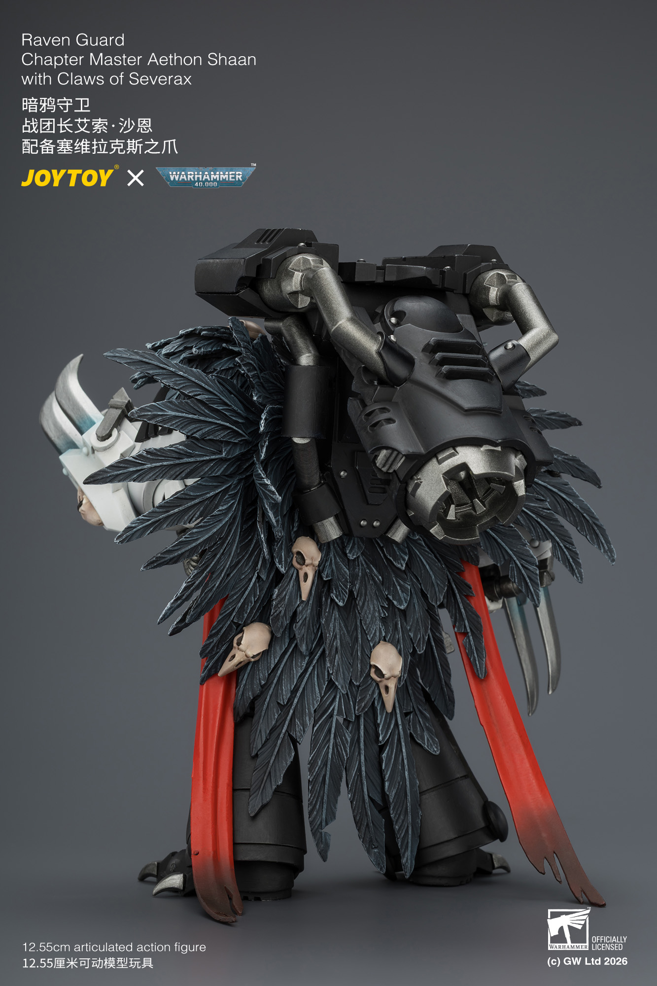 【預購】暗鴉守衛 戰團長艾索·沙恩 JT04742 X JOYTOY4