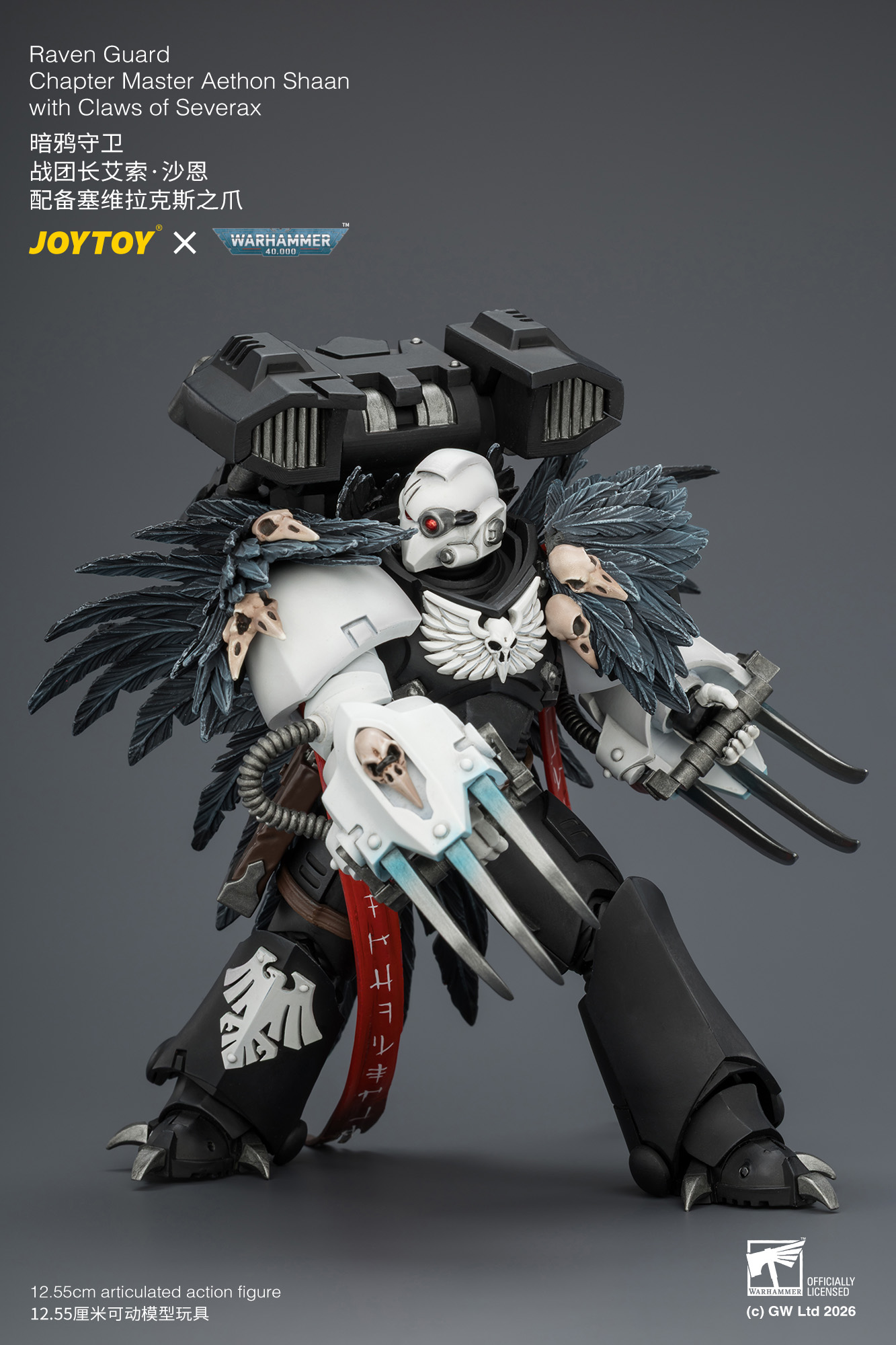 【預購】暗鴉守衛 戰團長艾索·沙恩 JT04742 X JOYTOY6