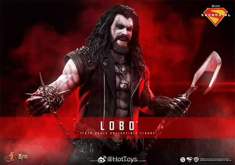 【預購】DC《超級少女》暴狼羅伯 MMS890 X HOTTOYS(HT)4