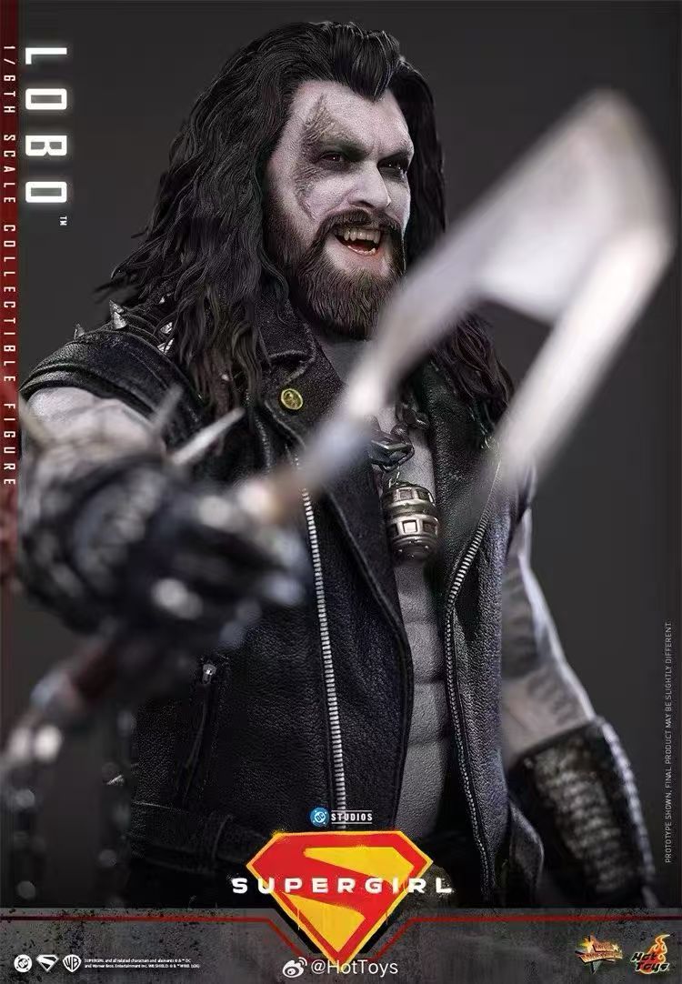 【預購】DC《超級少女》暴狼羅伯 MMS890 X HOTTOYS(HT)5
