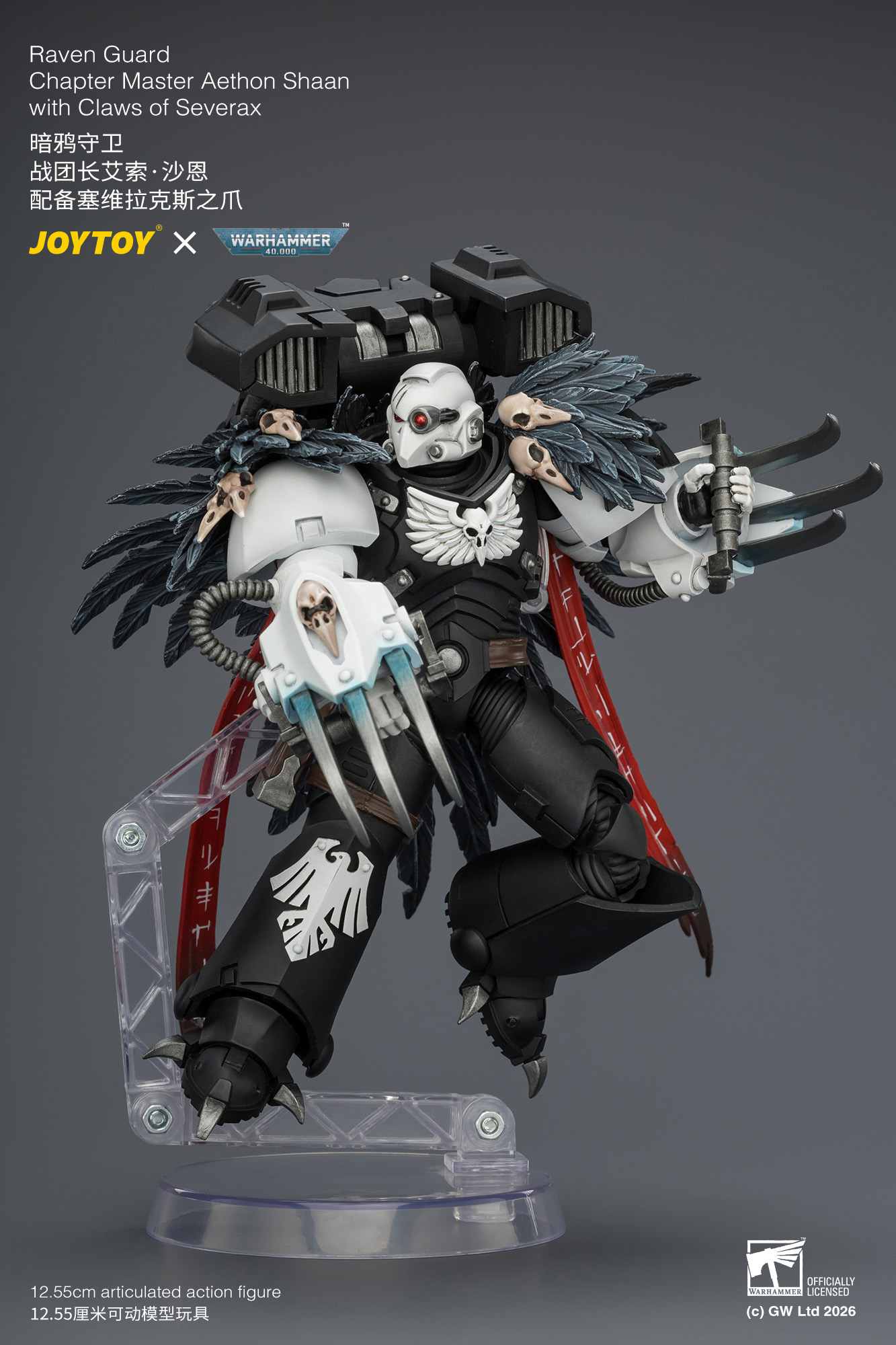 【預購】暗鴉守衛 戰團長艾索·沙恩 JT04742 X JOYTOY10