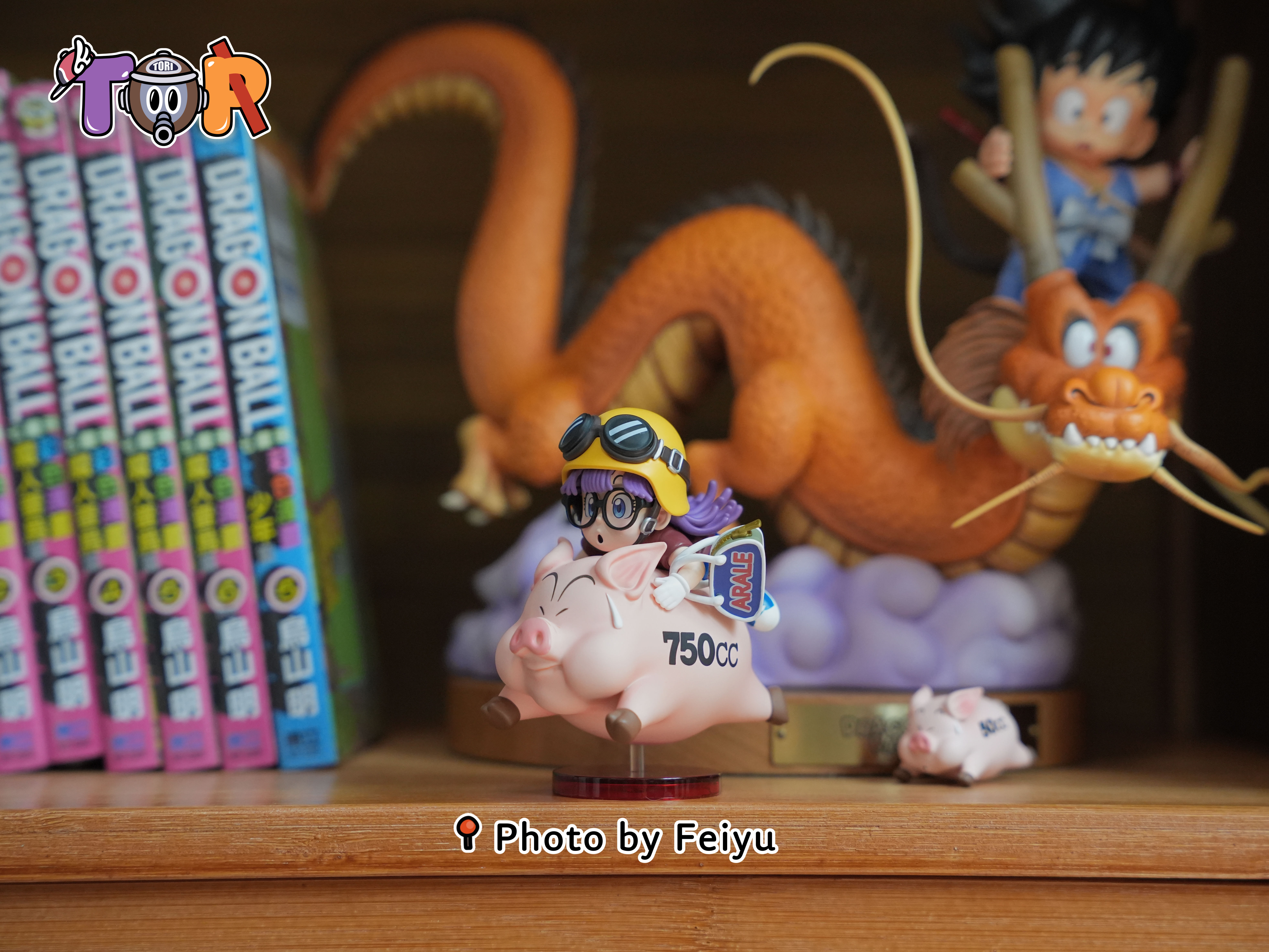 【售罄展示追加請私訊客服@toystationtw】怪博士與機器娃娃 阿拉蕾系列015 騎豬阿拉蕾 X TOR-Studio10
