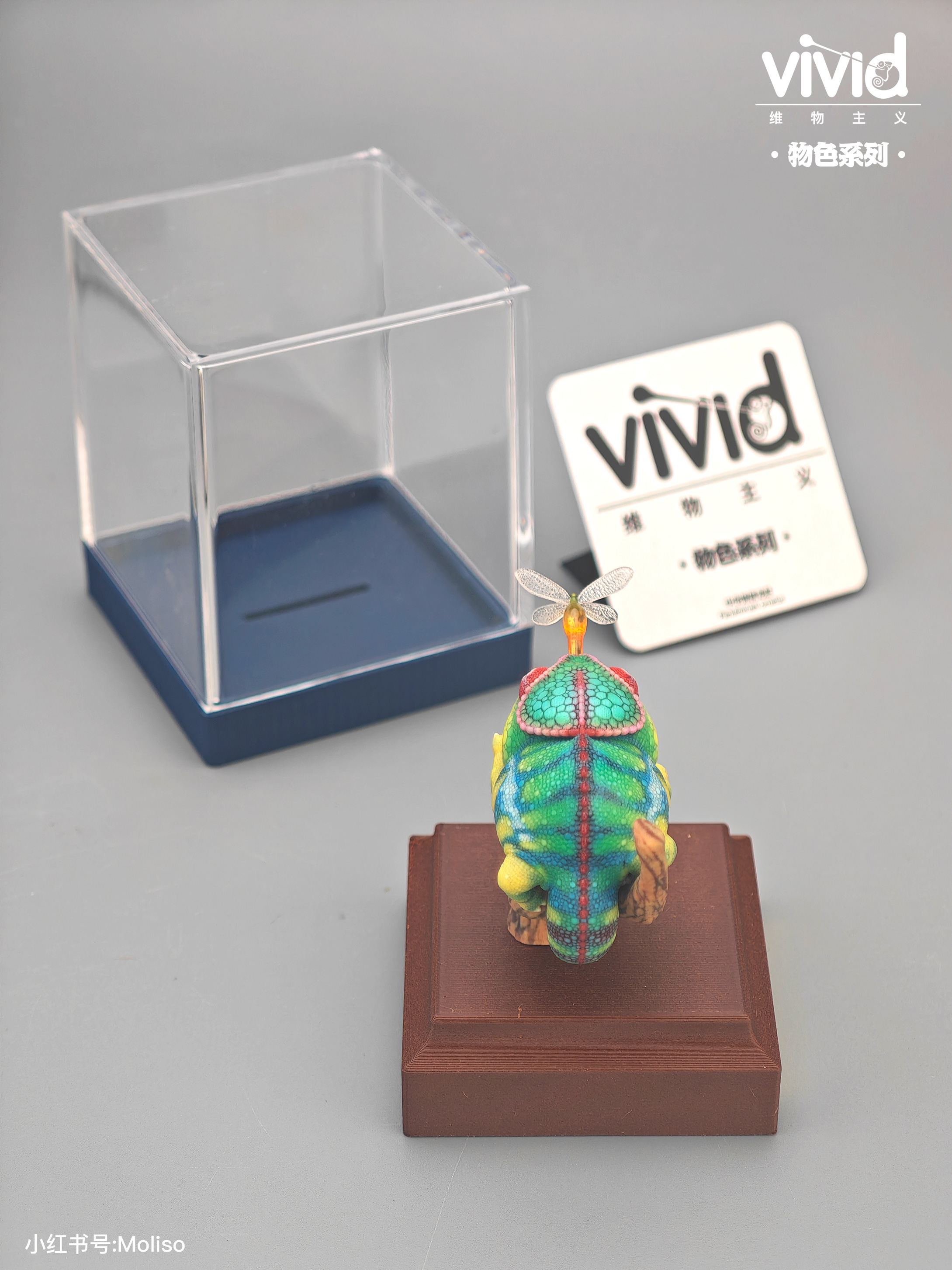 【預購】原色七彩變色龍 X vivid維物主義4